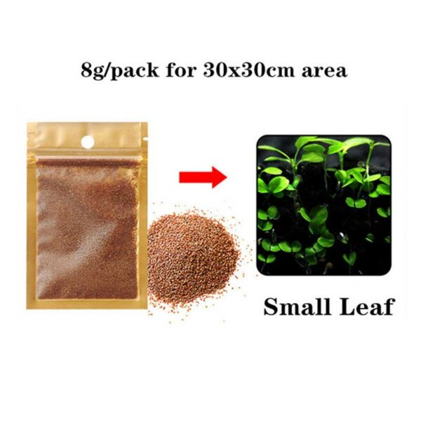 Mini Dwarf Pearl Seeds (Hemianthus Callitrichoides) - Image 3