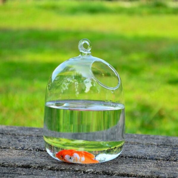 Desktop Hanging Glass Fish Tank Bowl - Image 3