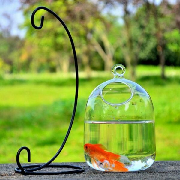 Desktop Hanging Glass Fish Tank Bowl - Image 4