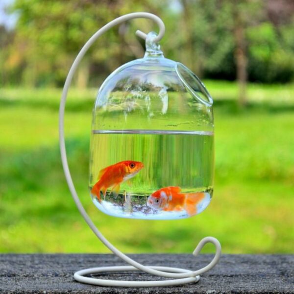 Desktop Hanging Glass Fish Tank Bowl - Image 5